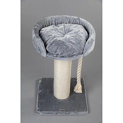 Avis RHR Quality Arbre à chat Chartreux Light Grey