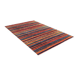 Hadorn Tapis 305x80 multicolore Kriens Maidu