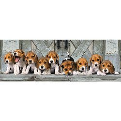 Clementoni Puzzle 1000 pièces panoramique : Beagles