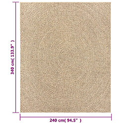 vidaXL Tapis ZIZUR 240x340 cm aspect de jute intérieur et extérieur pas cher