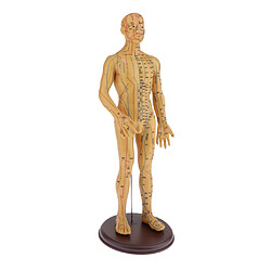 Le modèle masculin féminin d'acupuncture et de Moxibustion joue doux masculin de 50CM