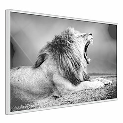 Paris Prix Affiche Murale Encadrée Yawning Lion 30 x 20 cm Blanc