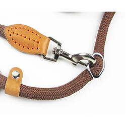 Avis Universal Laisse pour chien polyvalente P chaîne coulissante col animal de compagnie guide de marche corde de chien en nylon chiot animal de compagnie traction petit gros chien | traction (brun)