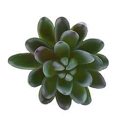 Avis Plante succulente artificielle cactus maison décor # 13 1 pièce 16 x 9cm