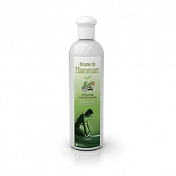 Desineo Brume de hammam - Polynésie - 250ml Camylle