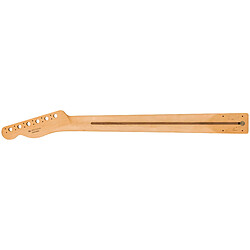 Avis Player Series Telecaster Neck PF Fender