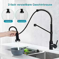 Robinet de Cuisine avec Ressort en Spirale, Robinets d'Évier avec Douchette Extensible pas cher