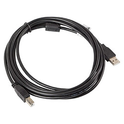 Câble imprimante Lanberg USB A mâle vers USB B mâle Ferrite 3 m noir CA-USBA-11CC-0030-BK