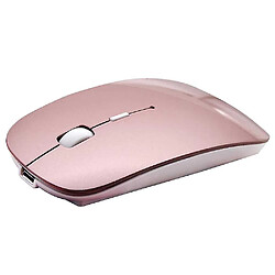 Universal Souris Bluetooth rechargeable pour souris Bluetooth sans fil pour ordinateur portable Mac