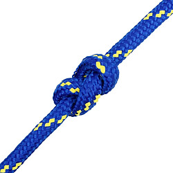 Acheter vidaXL Corde de bateau Bleu 16 mm 25 m Polypropylène