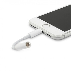 Amahousse Adaptateur Blanc pour iPhone prise Lightning vers Jack de 3.5 mm