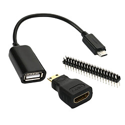 Convertisseur Micro USB mini HDMI vers HDMI