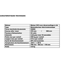 Europe Automatisme Kit de motorisation à 2 battants, double vantaux EA B370 - 2 vérins télescopiques pour portail battant 5m x 500kg Max