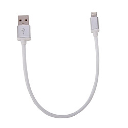 Wewoo Câble blanc pour iPhone X / 8 & 8 Plus / 7 & 7 Plus / 6 & 6s & 6 Plus & 6s Plus / 5 & 5S & SE & 5C / iPad 25cm Net Style tête en métal Lightning à USB données / de chargeur,