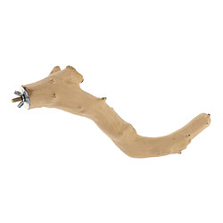 Acheter Support oiseau perche perroquet arbre branche