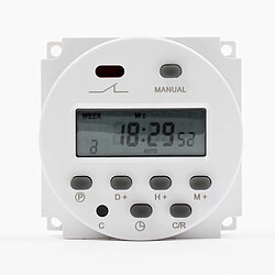 Wewoo CN101A AC110V Minuterie pour micro-ordinateur Digital LCD Power Timer