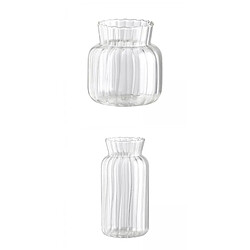 Verre de cristal fleur vase transparent vases