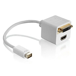 HDGear Adaptateur mini DVI (fiche 19 broches) vers prise HDMI Type A 0,20 m Blanc (Import Allemagne)