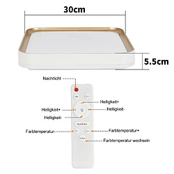 ZMH LED Ceiling Light Living Room Ø30CM Dimmable Remote Control Modern Ceiling Light Corridor pas cher