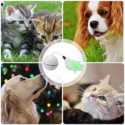 Tech Discount TD® Balle de jeu pour chat Chargement USB jouet chaton Boule Auto-rotative à 360 degrés Plume Détachable accessoire animaux