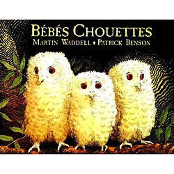 Bébés chouettes - Occasion