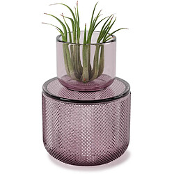 Acheter Umbra Pot en verre avec couvercle bougeoir intégré Allira violet.