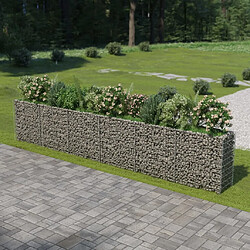 Maison Chic Jardinière,Lit surélevé - Bac à fleurs - pot de fleur à gabion Acier galvanisé 540x50x100 cm -GKD45392