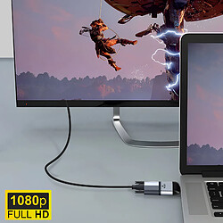 Acheter Avizar Adaptateur Vidéo USB-C Mâle vers VGA Femelle Résolution 1080p Compact Gris