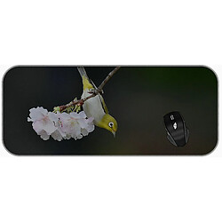 Universal (750x300x3) xxl Professional grand coussin souris Spring Bird Extended Gaming Mouse Pad