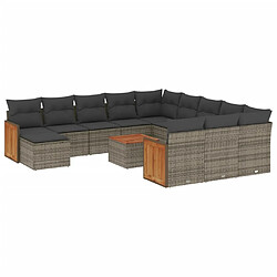 Maison Chic Salon de jardin avec coussins 13 pcs, Ensemble Tables et chaises de jardin, gris résine tressée -GKD542496