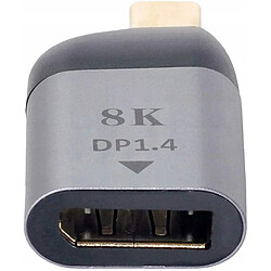 GUPBOO Adaptateur DisplayPort USB-C,JL1922