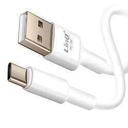 LinQ Câble USB vers USB C 3A Longueur 3m Charge et Synchronisation Fichiers Blanc