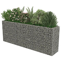 Acheter Maison Chic Jardinière,Lit surélevé - Bac à fleurs - pot de fleur à gabion Acier galvanisé 270x50x100 cm -GKD44378