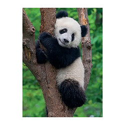 Puzzle 2x500 pieces - Panda et koala - Puzzle adultes Ravensburger - Des 10 ans - 17288