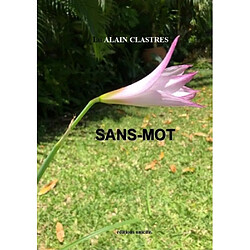 Sans-mot