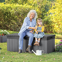 Acheter Keter Boîte de rangement de jardin Darwin 380 L Gris