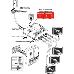 Acheter Antenne Trinappe TNT UHF Elap Clever + Amplificateur TV TNT Intérieur 1 entrée 4 Sorties - 43 dB, Filtre 4G, 5G Lte + 6 fiches F Or