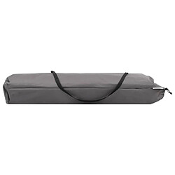 Acheter vidaXL Chaise longue pliable 2 places Gris Acier