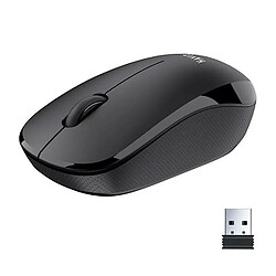 HAVIT MS66GT Souris bureautique sans fil 2,4 Ghz - 3 boutons - Portée 10 mètres - Nano récepteur - coloris noir pas cher