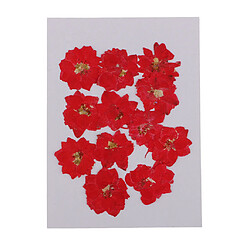 12 pcs pressé fleurs séchées larkspur réel pressé fleurs séchées diy rouge