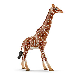 Schleich Giraffe Bull