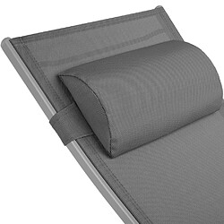 Acheter Helloshop26 Lot de 2 transats bain de soleil avec coussin de tête gris 2208196