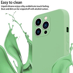 Avis Cadorabo Etui iPhone 14 PRO Coque en Vert