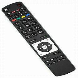 GUPBOO Télécommande pour Hitachi HD TV RC5117 BUSH VESTEL Netflix Hot