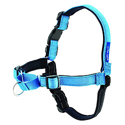 Avis EASY WALK Harnais Deluxe S - Bleu Océan - Pour chien