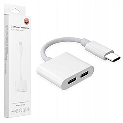 GUPBOO Adaptateur de charge et audio 2 en 1 USB-C vers 2x USB-C,JL2349