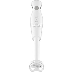 Avis Mixeur plongeant 450w blanc - ddg25110 - MOULINEX