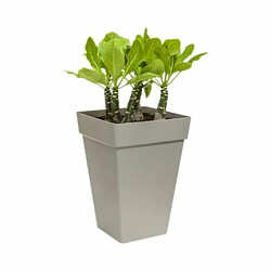 Pot Elho Anthracite polypropylène Plastique Carré Moderne 37 cm