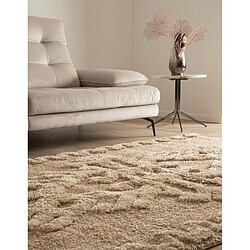 Avis Hadorn Tapis shaggy 185x125 brun Thun Scutum