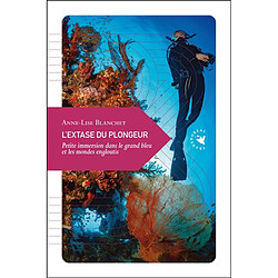 L'extase du plongeur : petite immersion dans le grand bleu et les mondes engloutis